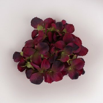 Головка гортензии изящной бордовая