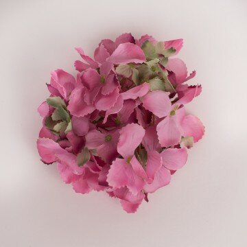 Головка гортензии изящной ярко розовая