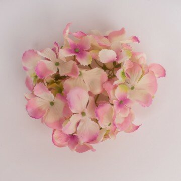 Головка гортензии изящной нежно розовая