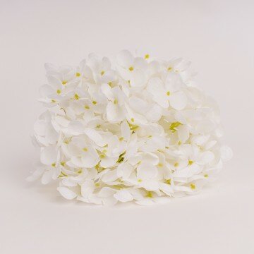 Головка гортензии королевская белая