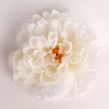 Головка пиона белая шелкова
