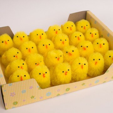 Цыплята средние- упаковка 24шт