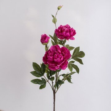 Ветка пион 01