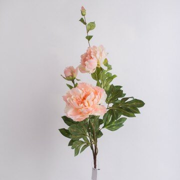 Ветка пион 03