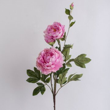 Ветка пион 04