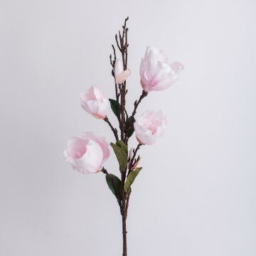 Ветка магнолии розовая