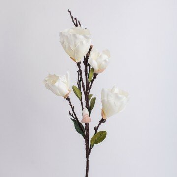 Ветка магнолии кремовая