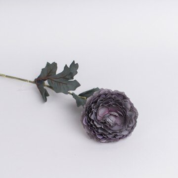 Камелия серая