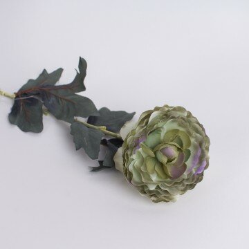 Камелия зеленая