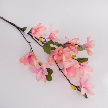 Веточка магнолии мелкоцветущей розовая