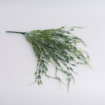 Куст вьющейся травки с белыми шариками