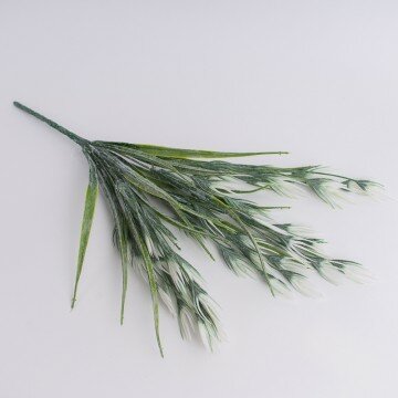 Куст вьющейся травки