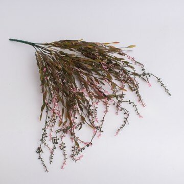 Куст вьющейся травки с розовыми шариками